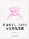 老公醒后,毛茸茸夜夜催他生崽
