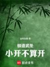 极道武圣:小开不算开
