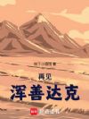 再见浑善达克