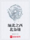 缅北之西北枭雄