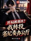 开局被调查?我转投省纪委办公厅