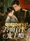 小寡妇改嫁,随军后冷面首长宠上瘾