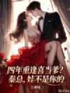 四年重逢喜当爹?秦总,娃不是你的