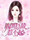 腹黑总裁惹不起