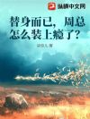 替身而已,周总怎么装上瘾了?